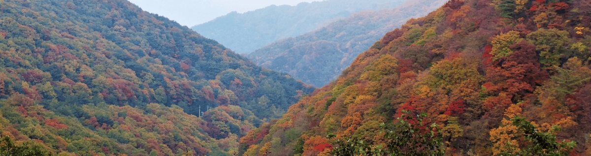 일성지리산_객실.jpg