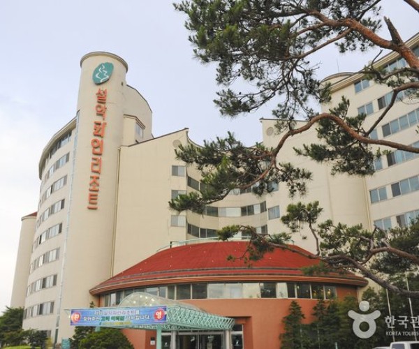 설악파인리조트 회원권
